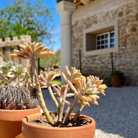 Quinta Dormmimo A Hidden Gem With Pool Near Tomar Apartament