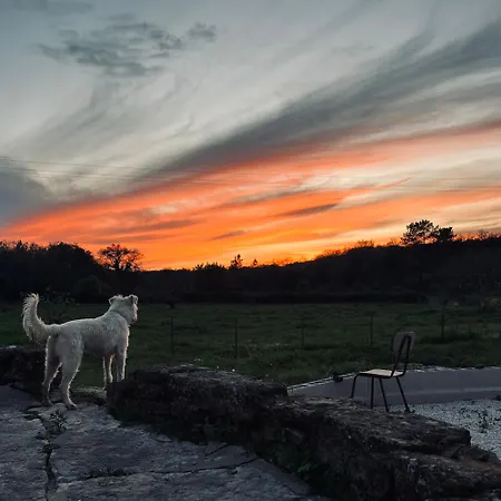 Quinta Dormmimo A Hidden Gem With Pool Near Tomar Apartment *