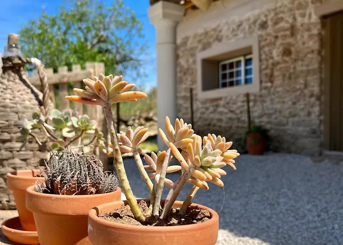 Quinta Dormmimo A Hidden Gem With Pool Near Tomar Apartamento