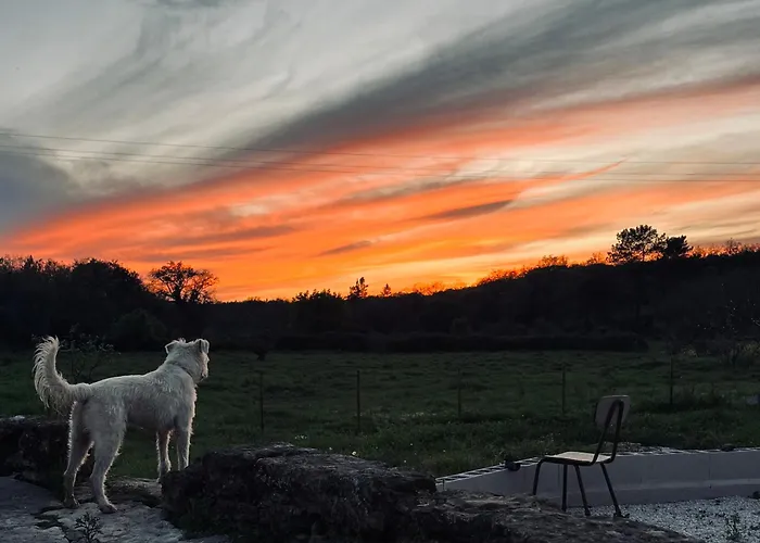 Quinta Dormmimo A Hidden Gem With Pool Near Tomar Appartamento *
